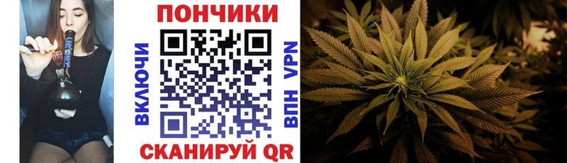 Цена Плёс Псилоцибиновые грибы  ГАШ  СОЛЬ  Канабис  Cocaine  hydra вход  АМФЕТАМИН 