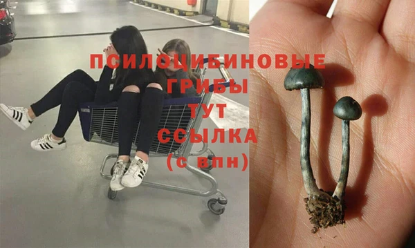 наркотики Баксан